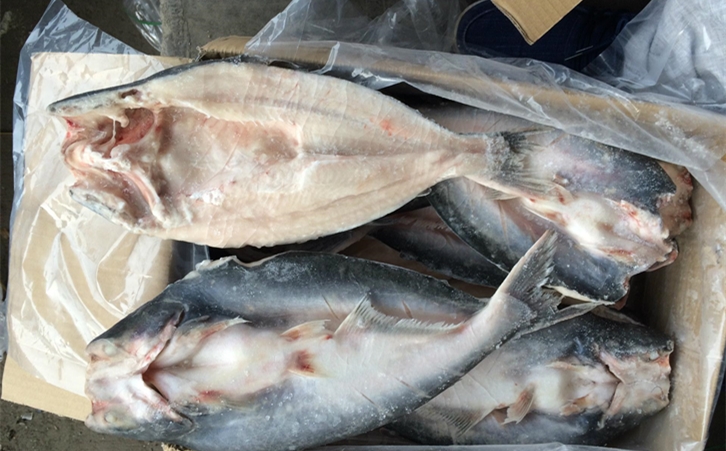 進口巴沙魚清關代理一點都不難，只要你準備好這些資料