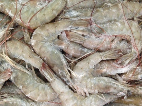冷凍水產(chǎn)品進(jìn)口清關(guān)資料簡介_進(jìn)口水產(chǎn)品標(biāo)簽問題_副本.jpg