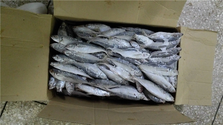 廈門(mén)港冷凍魚(yú)報(bào)關(guān)公司.png