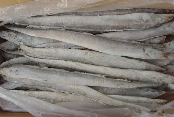 廈門(mén)港冷凍魚(yú)報(bào)關(guān)公司 (2).png