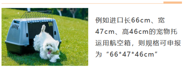 德國進(jìn)口寵物用品報(bào)關(guān)1_副本.png